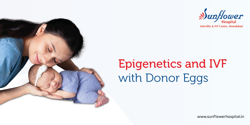 Epigenetics and IVF with Donor Eggs: Influence on Baby’s Genes